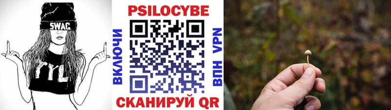 Галлюциногенные грибы Psilocybe  как найти закладки  MEGA ССЫЛКА  Красково 